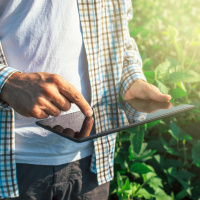 Harvesting the Benefits of Digital Agriculture
