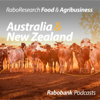 Following the Brahman trail through the Northern Territory – an update on the northern cattle industry