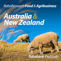 Australian wool prices push higher
