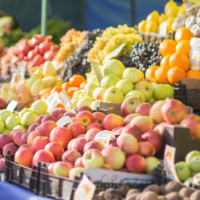 Fresh Insight For New Zealand Horticulture