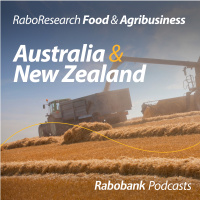 Navigating wheat markets: Is a price tailwind on the horizon?