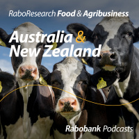 Global dairy outlook: Milk supply gaining momentum