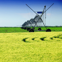 Bungle In The AgTech Jungle: Australia  NZ