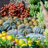 Australian Horticulture And Changing Tides