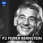 P2 Fejrer Bernstein