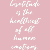 10 Days of Gratitude Challenge-Best Decision Yet