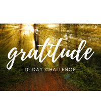 10 Days of Gratitude -Day 1. The Abundance Around Us.⭐☪✡