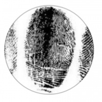 Episode 8 - The Murder-Suicide of the Hart Family