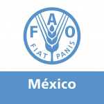FAO en México