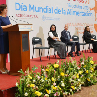 Lo nuevo de la FAO - 18 de octubre