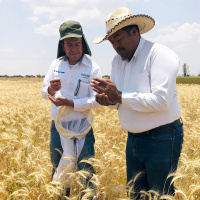 Lo nuevo de la FAO - 27 de septiembre de 2019