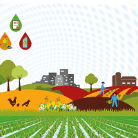 Lo Nuevo de la FAO - 25 de Octubre 2019