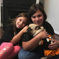 10.2.19. Pug Life, Ugh Life