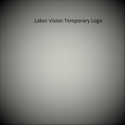 Labor Vision