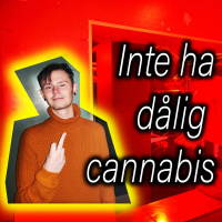 Inte ha dålig cannabis