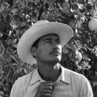 Braceros: The Controversial History of US-Mexico Farm Worker Programs with Dr. Matthew Garcia