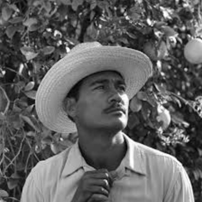 Young Farmers Podcast