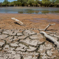 When Your Water Hole Dries Up