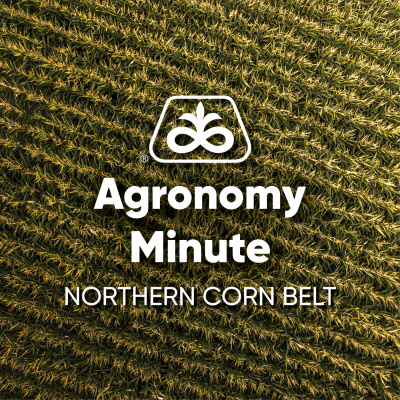 Agronomy Minute — Northern Corn Belt