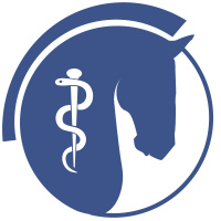 Episode 6 - Behind the recent EHV outbreak