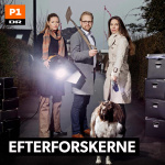 Efterforskerne