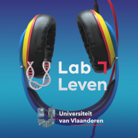 Het geluid van stilte: op bezoek bij het Waves-lab