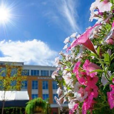 Schill Grounds Management