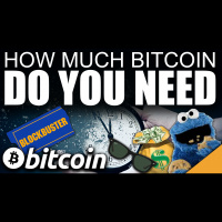 How Much Bitcoin Do You Need?