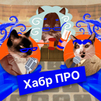 Хабр ПРО // Баффер в IT-команде: обсуждаем, чему сеньор может поучиться у джуна