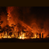 Podcast: Wildfires, climate action tipping points, and helping stroke patients