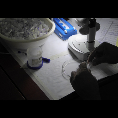 Imperial College Podcast