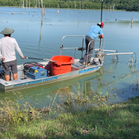 SF Managing Existing Ponds