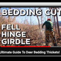 LandBeat Breakdown: Ultimate Guide to Deer Bedding Thickets