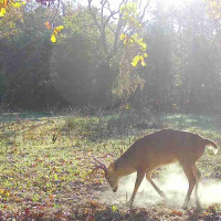 Where Should I Hunt This Week?