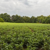 Step by Step Food Plot Install Breakdown