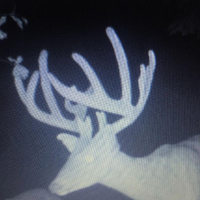 SF What Should I Feed My Deer?