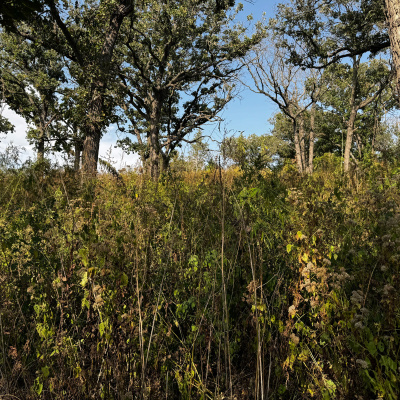 Land  Legacy - Sportsmens Nation