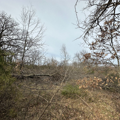 Land  Legacy - Sportsmens Nation