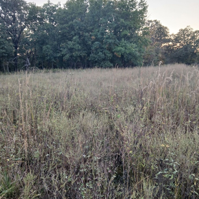 Land  Legacy - Sportsmens Nation