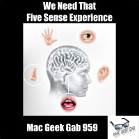 We Need That Five Sense Experience