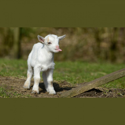 Off the Record with Jon and Tim