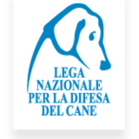 Radio Millennium - Lega del cane