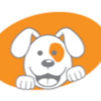 Radio Millennium - Harmonia Dog - Estate per i nostri amici a 4 zampe