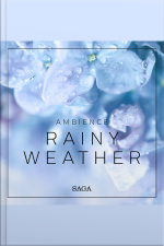Ambience - Rainy Weather
