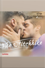 The Hitchhike