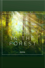 Ambience - In The Forest