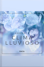 Ambiente - Clima Lluvioso