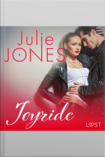 Joyride - Erotic Short Story