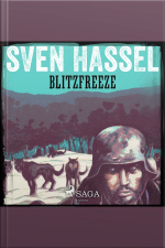 Blitzfreeze