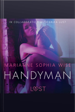 Handyman - Sexy Erotica